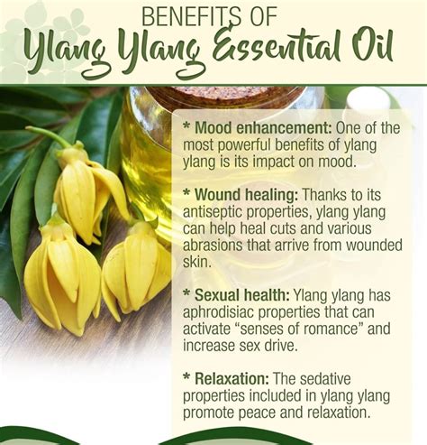 wonderful benefits of ylang ylang essential oil my health only