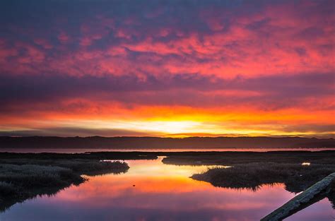 Arcata Bay Fire Sunrise Photograph By Greg Nyquist Fine Art America