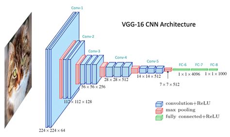 Graphical Illustration Of A Cnn Based Network Archite Vrogue Co