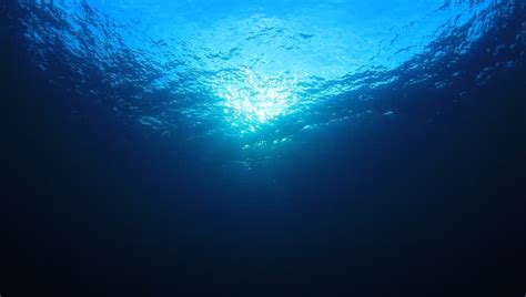 Underwater Footage In Blue Ocean Stock Footage Video 100