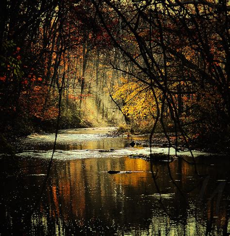 Dark Gothic Autumn Landscape Photograph Dreamy Woods Photo