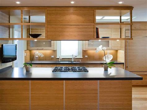 Hanging Kitchen Cabinets Kitchen Contemporary With Minimal Contemporary