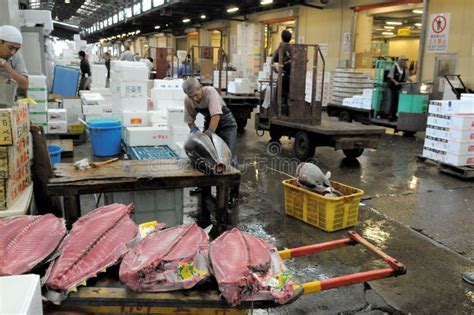 Tokyo The Fish Market Editorial Photography Image Of Design 145174322