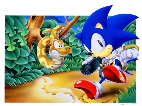 Sonic The Hedgehoggallery Sonic News Network Fandom Sonic The