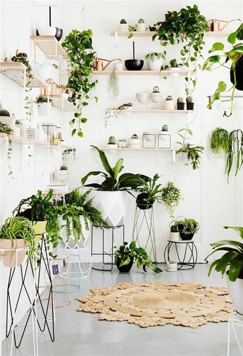 33 Beauty Indoor Plants Decor Ideas For Your Home And Apartment Page