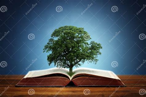 Tree Of Knowledge Stock Image Image Of Ecology Land 48555317