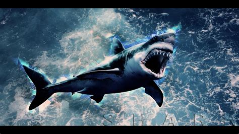 We've gathered more than 5 million images uploaded by our users and sorted them by the most popular ones. Shark wallpaper ·① Download free beautiful wallpapers for ...