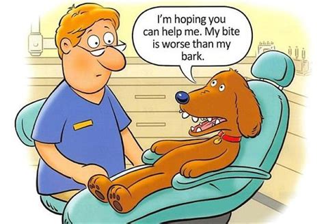 dentaltown where the dental community lives® dental humor orthodontic humor dental puns