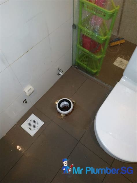 Toilet Pan Collar Replacement Plumber Singapore Landed Central Mr