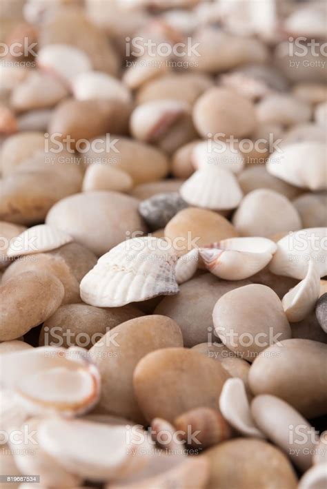 Sea Pebbles Background Natural Seashore Stones Stock Photo Download