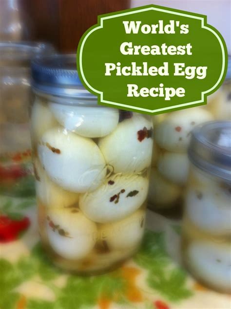 Pickled Egg Recipe Pratima Info