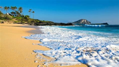 Free Download Beautiful Hawaii Beach Wallpaper Hd 11 High Resolution