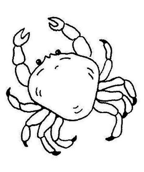 Free King Crab Sea Animals Coloring Page Download