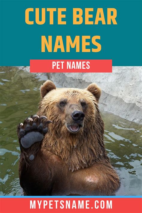 Cute Bear Names Bear Names Cute Teddy Bear Names Teddy Bear Names