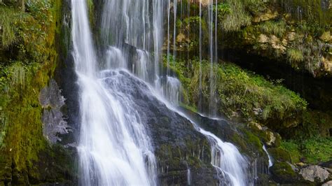 Stream Algae Waterfall Cascade Stones Moss Landscape Hd Nature