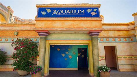 Jewel Of The Sea Aquarium Animal Experiences Seaworld Orlando