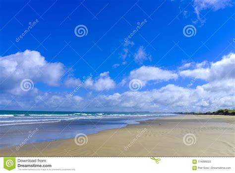 Novanta Spiagge Di Miglio In Nuova Zelanda Immagine Stock Immagine Di