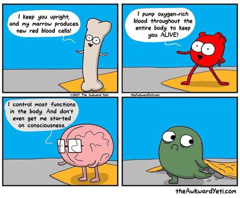 Gallbladder Is Cobfused With His Function In Life Awkward Yeti Heart