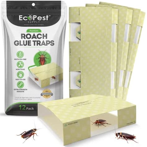 Best Pest Control Traps Insect In 2023 Buying Guide Welding Faq