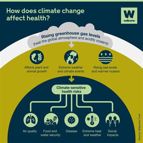 How Climate Change Affects Health News Wellcome