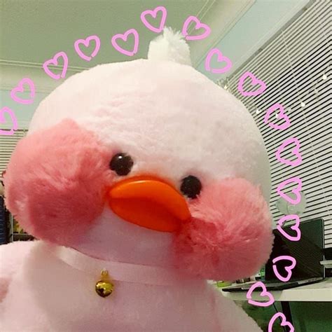 Discordggasterism Kawaiicandi On Instagram Cute Ducklings Cute