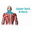 Upper Back Pain  Whats Causing The Top Of My Spine To Hurt