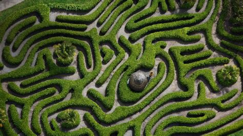 Bing Image Glendurgan Garden Hedge Maze Is 186 Years Old