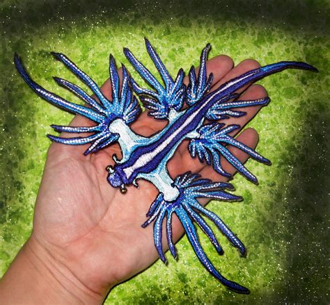 Huge Blue Dragon Sea Slug Nudibranch Glaucus Atlanticus Iron Etsy