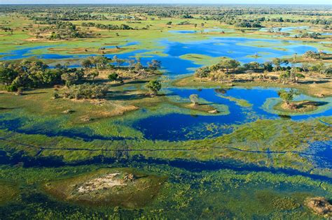 A Big Oil Project In Africa Threatens Fragile Okavango Region Grist