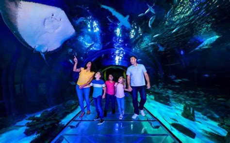 Sea Life Orlando Aquarium At Icon Park On International Drive