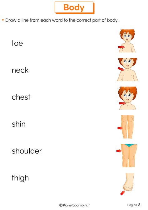 Se invece vuoi imparare l'inglese in modo ancor più rapido ed essere seguito passo passo, ti invito a scoprire la nuova versione, più verbo essere in inglese (to be): Le Parti del Corpo in Inglese: Esercizi per la Scuola ...