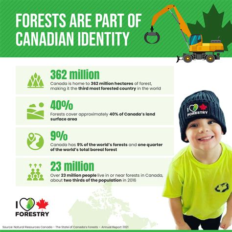Canadian Forestry Infographic Facts Figures And More Canada Action