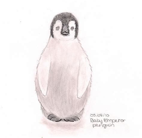 Baby Emperor Penguin By Cajoly10 On Deviantart