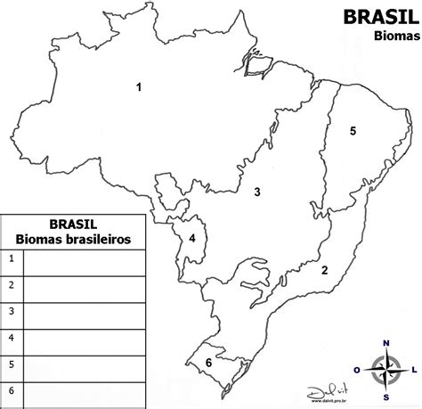 Biomas Do Brasil Para Colorir Mapa Biomas Do Brasil Para Colorir Imagens Para Colorir Imprim Veis