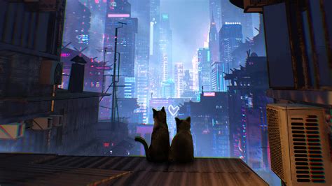 1280x720 Cats In Love 720p Hd 4k Wallpapersimagesbackgroundsphotos