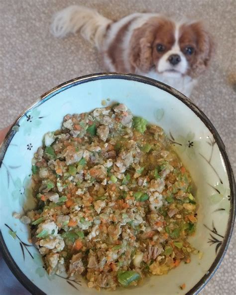 Here are some healthy dog food recipes to help your diabetic canine pet live a happy life. Homemade dog food chicken and heart | Recipe | Dog food ...