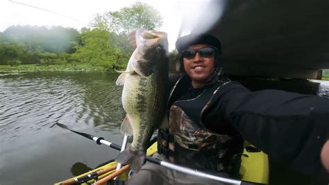 Creek Fishing For Trophy Bass Nc Bass Fishing Youtube