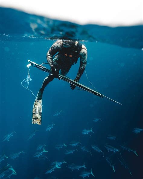 It Is Interesting To Catch Fish Like This Spearfishing Diving