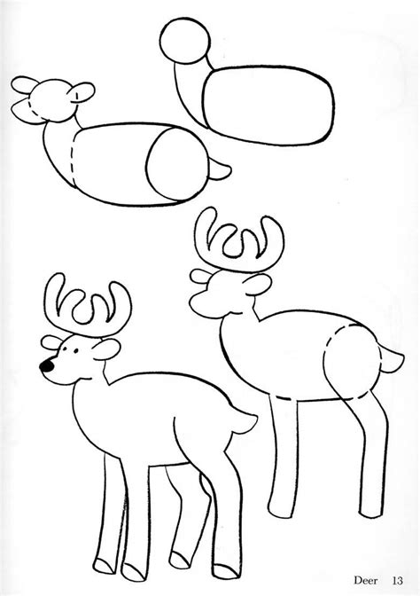 How To Draw A Deer Animal Drawings Doodle Drawings