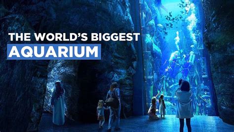 Abu Dhabi Is Building The Worlds Largest Aquarium Uae Times