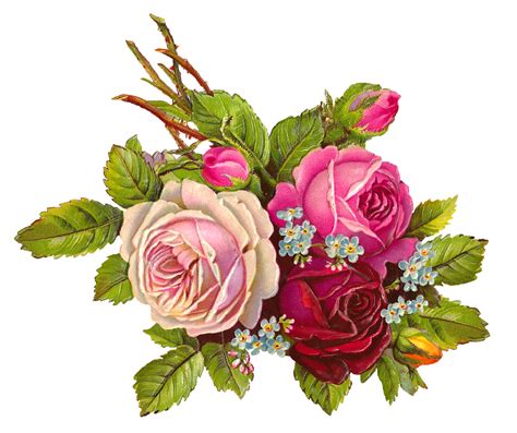 Antique Images Free Gorgeous Digital Rose Download Printable Flower