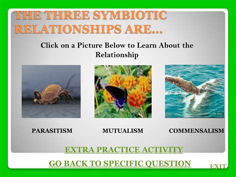 Ppt Symbiotic Relationships Powerpoint Presentation Free Download