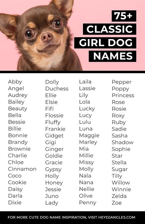 Tìm Tên Cho Thú Cưng Cutest Dogs Names Bộ Sưu Tập đặc Biệt