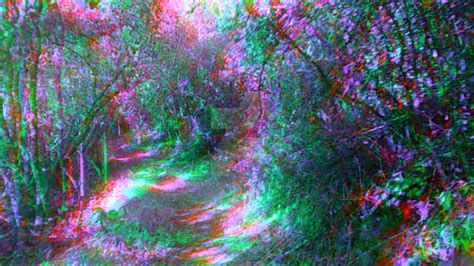 Trippy Forest 1 By Aniabuckle On Deviantart