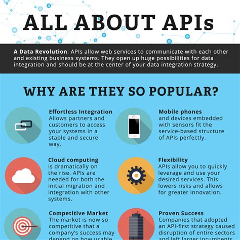 Infographic All About Apis Safe Software