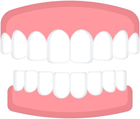 Teeth Png Clip Art Best Web Clipart