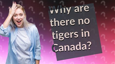 Why Are There No Tigers In Canada YouTube