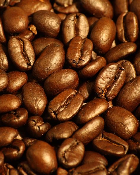 Filedark Roasted Espresso Blend Coffee Beans 2 Wikipedia