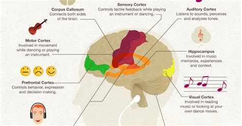 Half Notes Music Stimulates 9 Parts Of The Brain