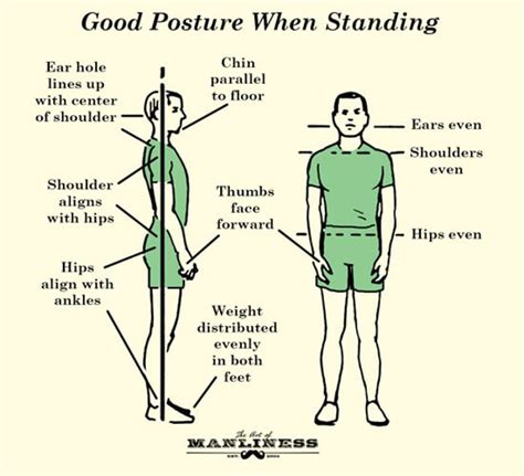 The Ultimate Guide To Improving Your Posture
